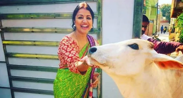 গরু-ও-মেয়ে-1536x820