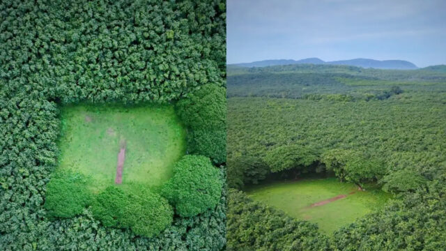 kerala-1